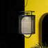 Denglong T hanglamp