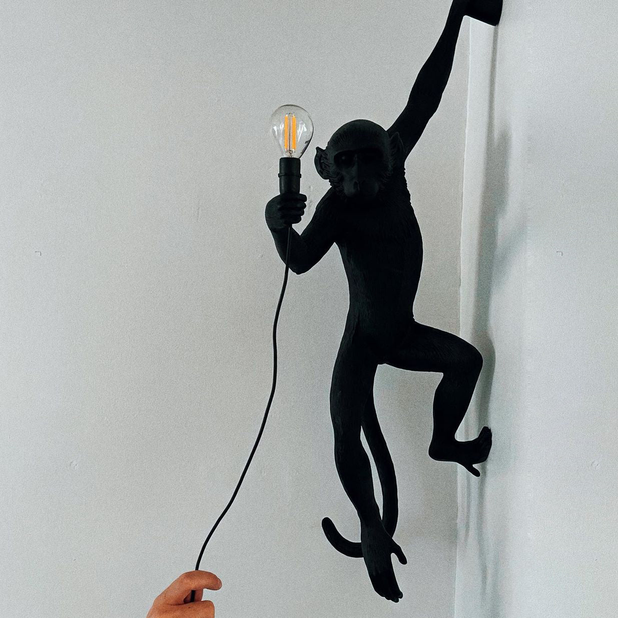 Monkey Wall Lamp