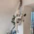 Affe Wandleuchte