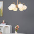 Persimmons Chandelier