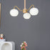 Persimmons Chandelier
