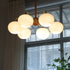 Persimmons Chandelier