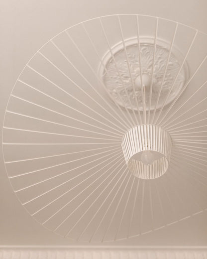 Vertigo Pendant Light
